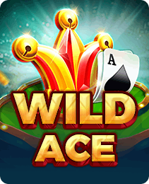 Wild Ace - Slots game on 365in